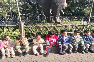 Young Learners' Visit To The Zoo
